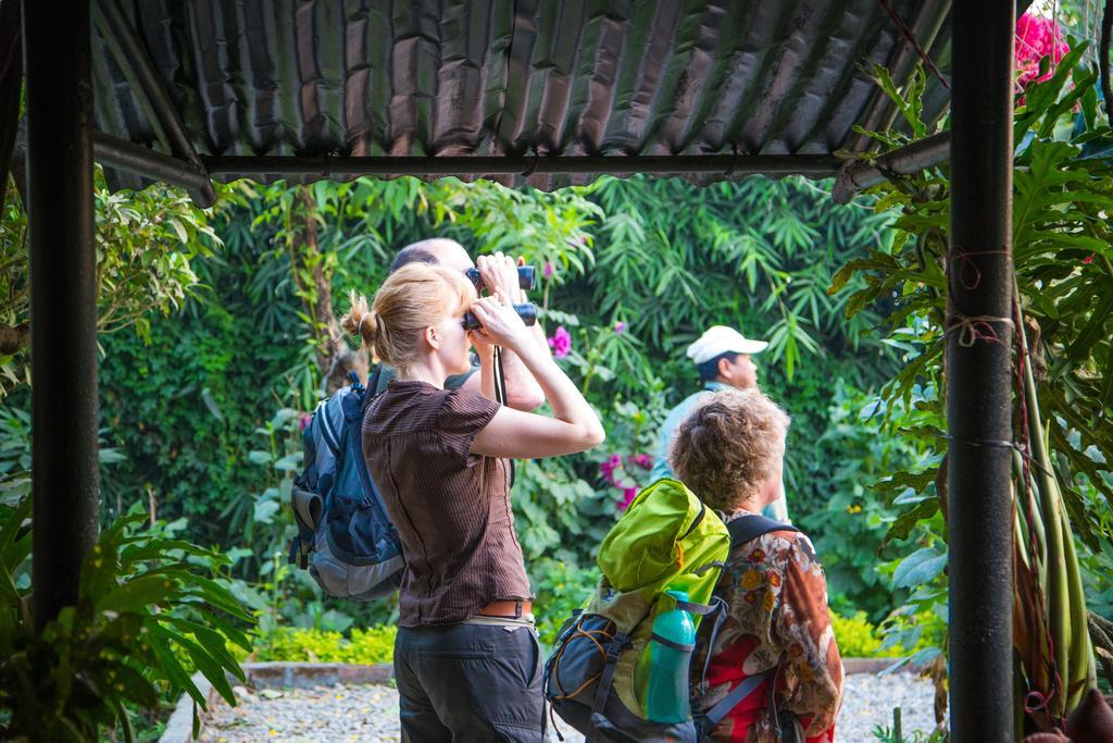 Chitwan Adventure Resort Sauraha Ngoại thất bức ảnh