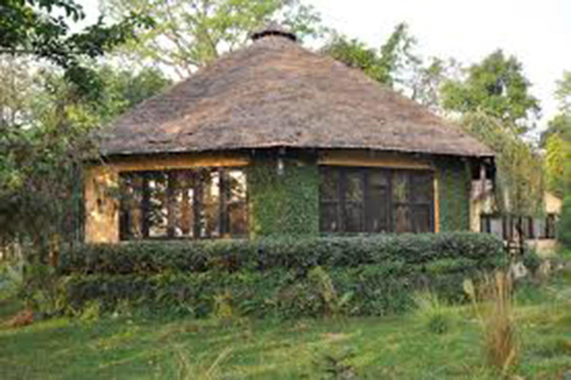 Chitwan Adventure Resort Sauraha Ngoại thất bức ảnh