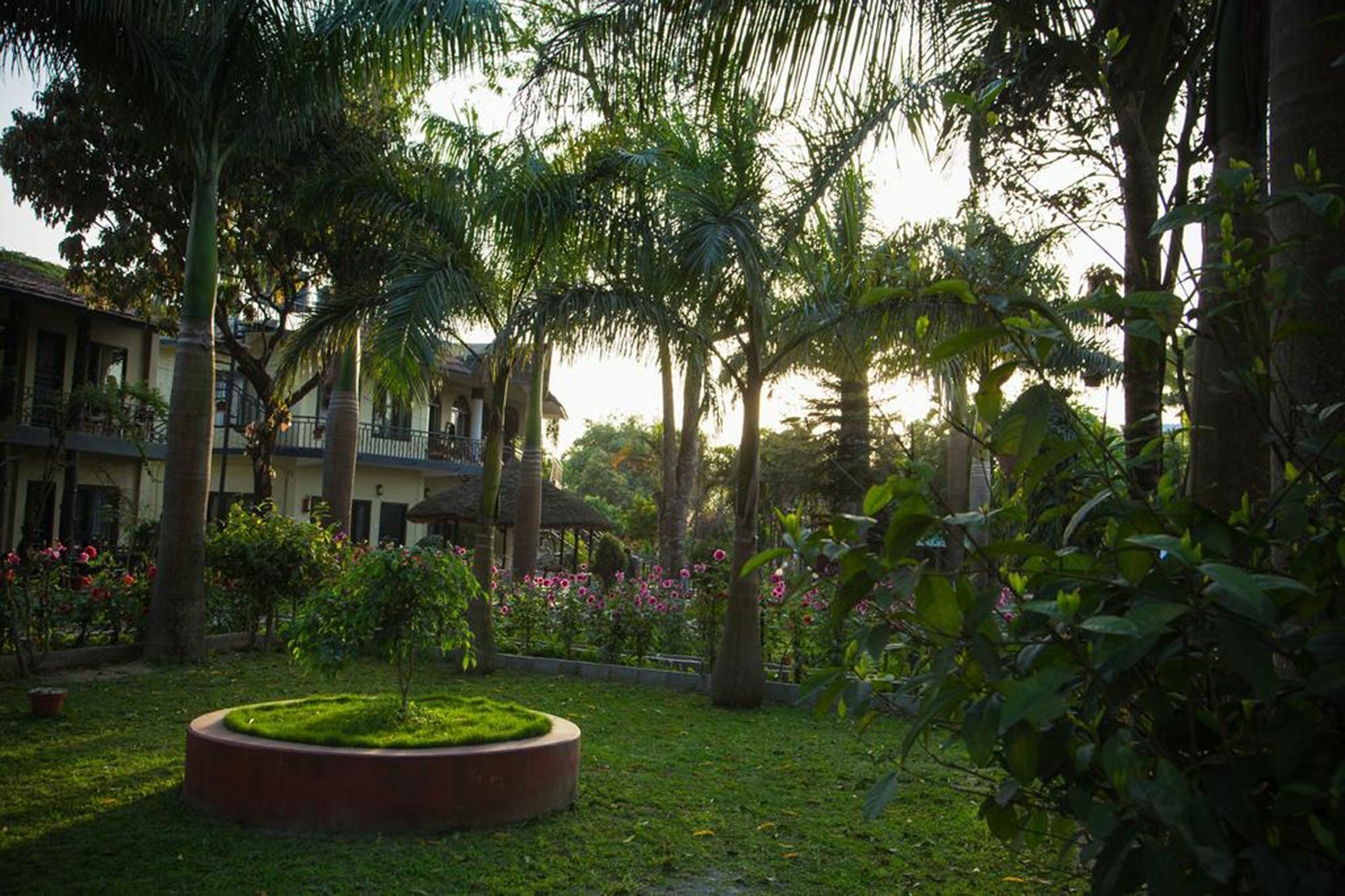 Chitwan Adventure Resort Sauraha Ngoại thất bức ảnh