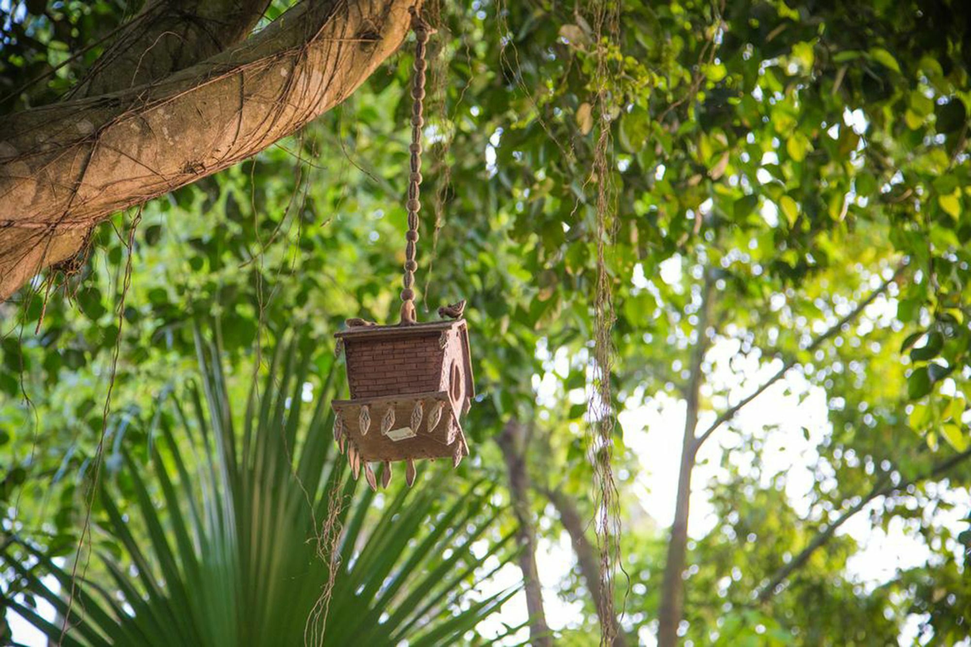 Chitwan Adventure Resort Sauraha Ngoại thất bức ảnh